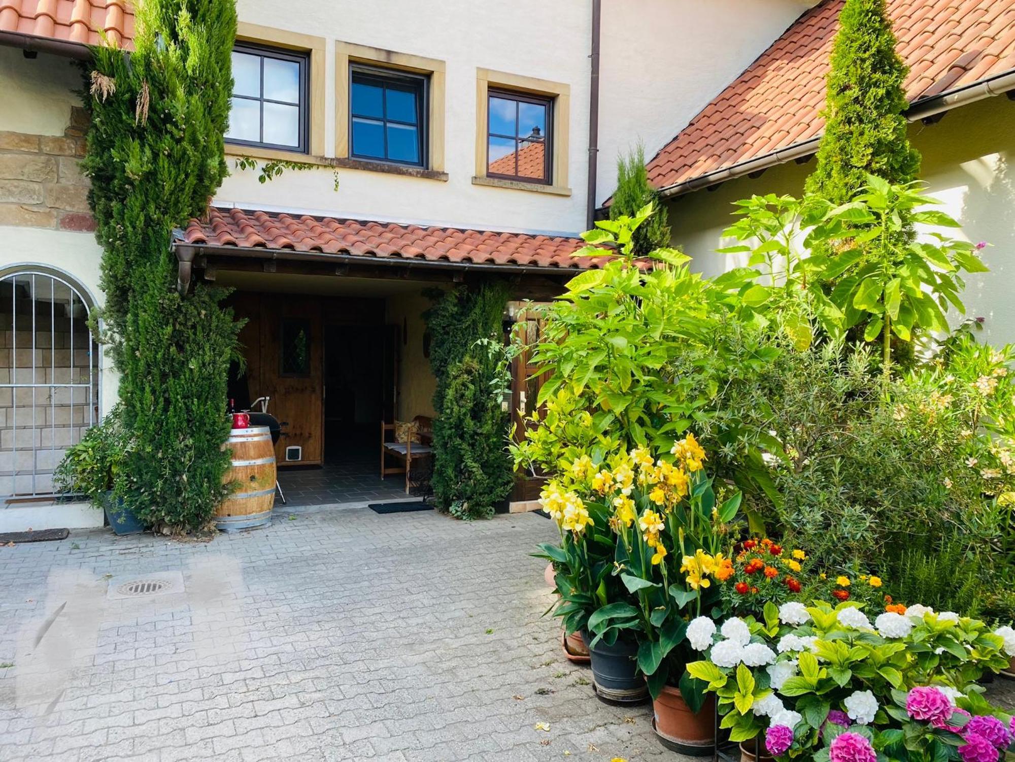 Ferienwohnung Mit Schoener Terrasse. Ellerstadt Exterior foto
